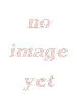 no image yet